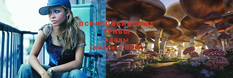 Галлюциногенные грибы MAGIC MUSHROOMS  shop как зайти  Собинка  где найти наркотики 